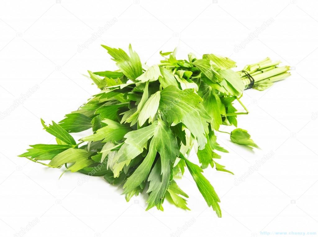 depositphotos_77450998-stock-photo-lovage-herb.jpg