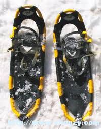 snowshoeing1.jpg