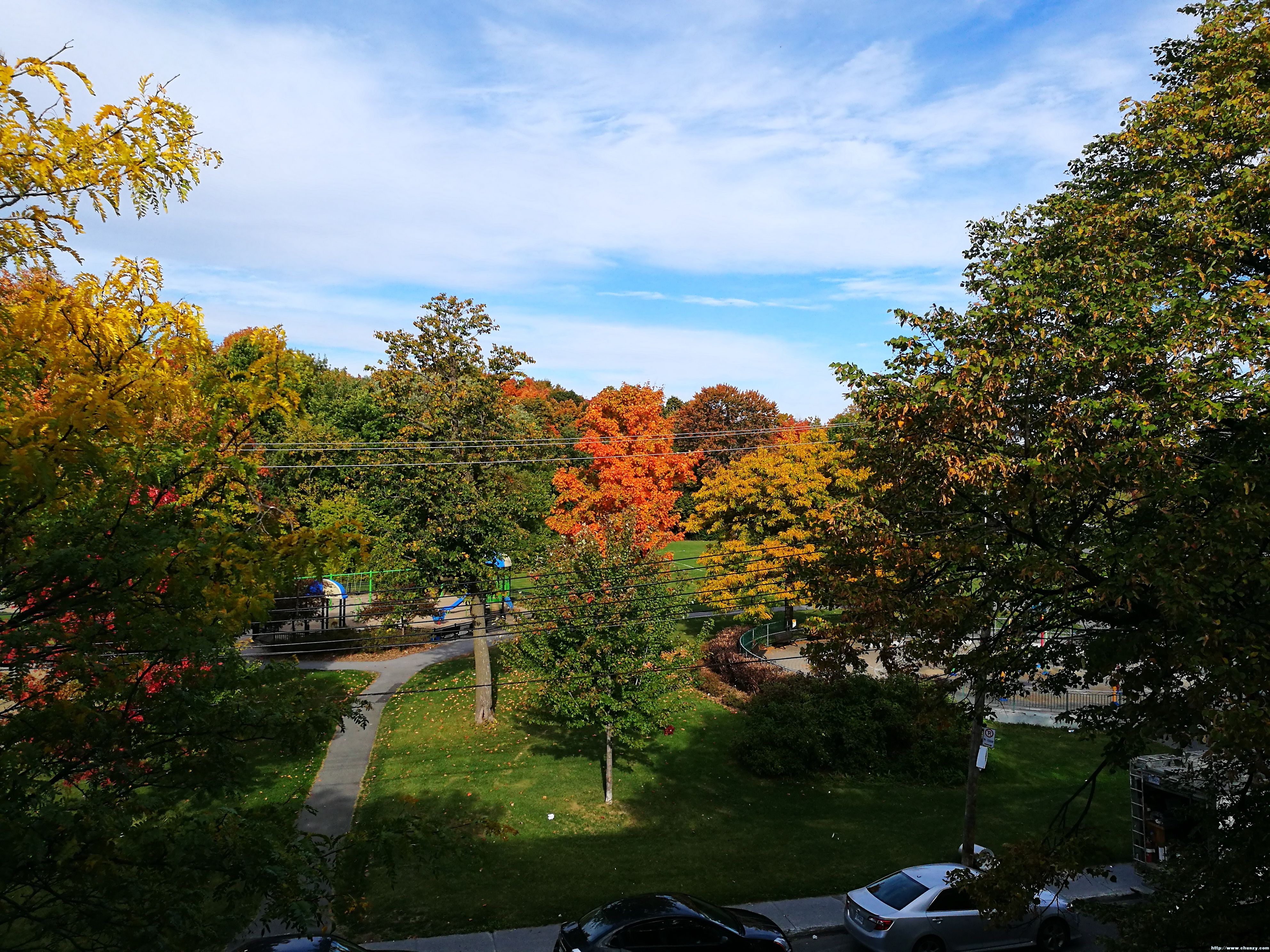 IMG_20161012_094558[1].jpg