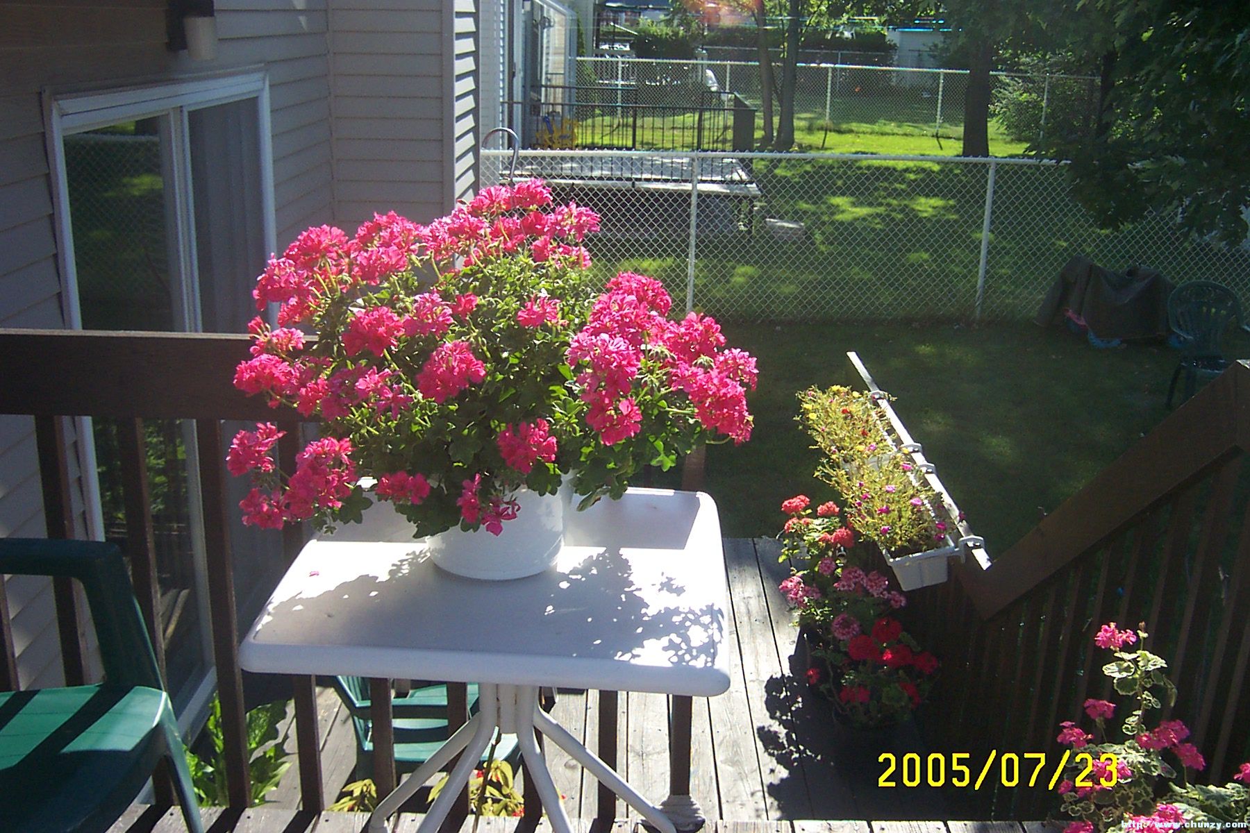 DCP_2335.JPG