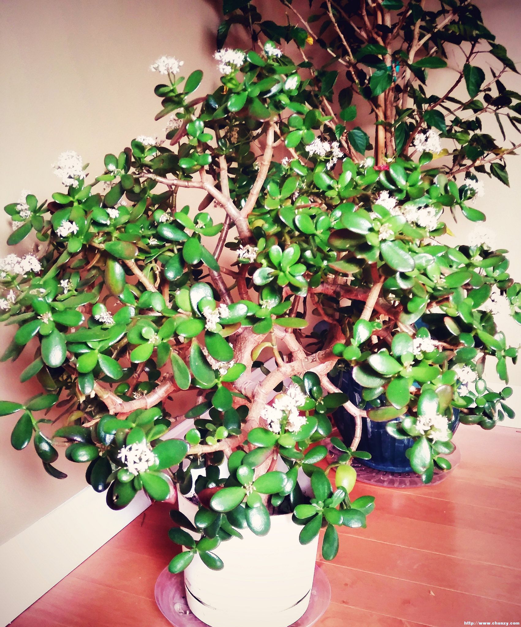 2017-12-03_12-13-46.jpg
