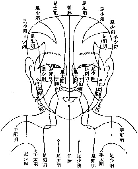 头部经络位置.jpg